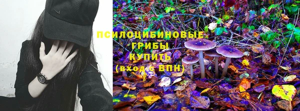 прущая мука Пестово