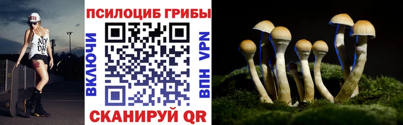 Псилоцибиновые грибы Cubensis  Купить  Заволжск 