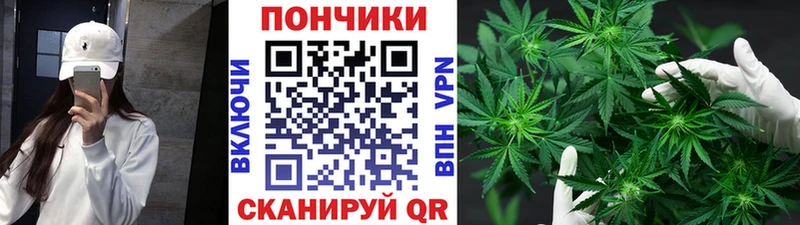 Бошки Шишки индика  Купить закладки  Заволжск 